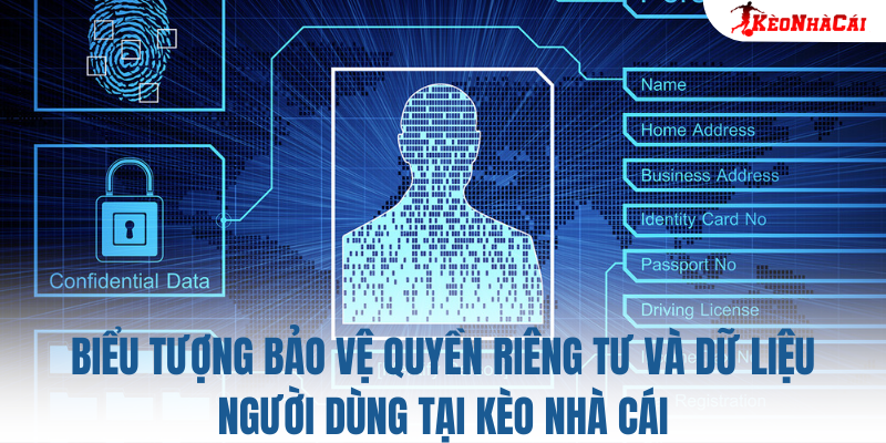 Hướng Dẫn Chi Tiết Về Kèo Nhà Cái – Bí Quyết Thành Công